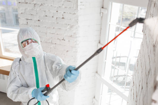 Forensic Mold Investigation in Clay, AL
